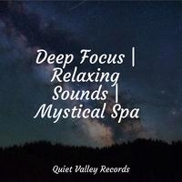 Deep Focus | Relaxing Sounds | Mystical Spa