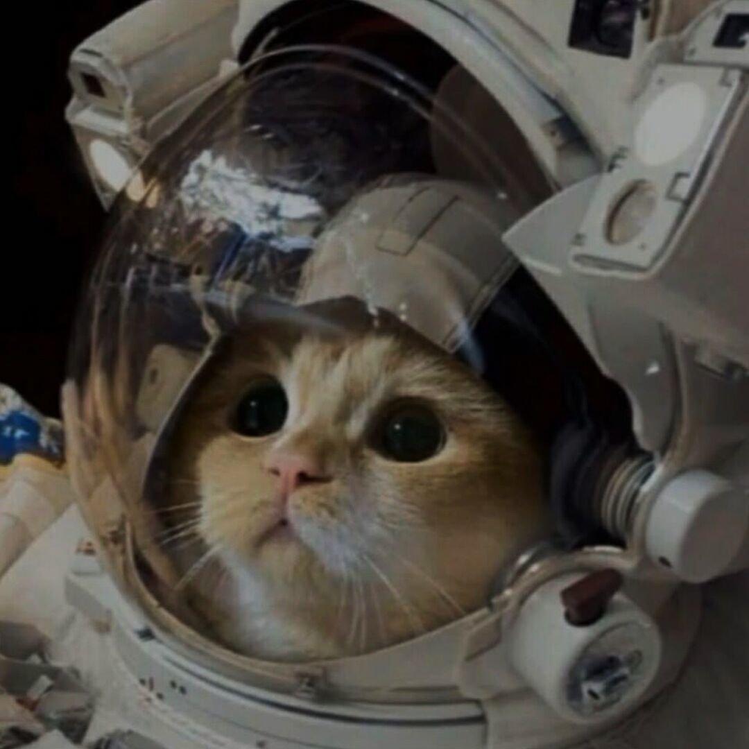 孤单又灿烂的神180826