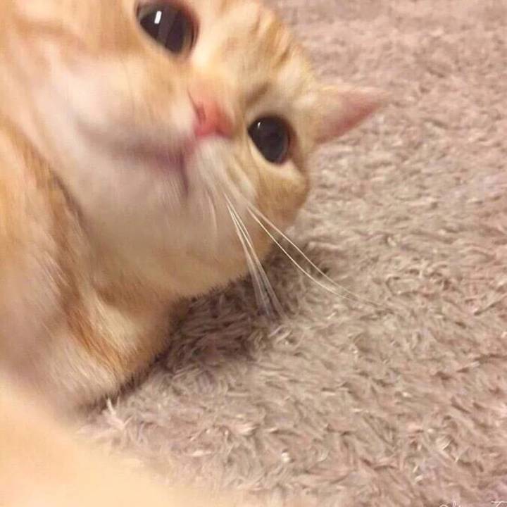 " Milky " (prod by CHXX)