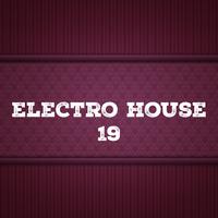 Electro House, Vol. 19