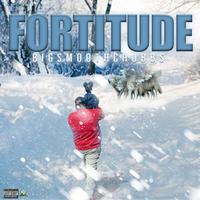 FORTITUDE