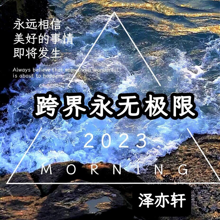 荷塘月色（DJ版） - 泽亦轩封面