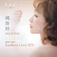 Endless Love XIV