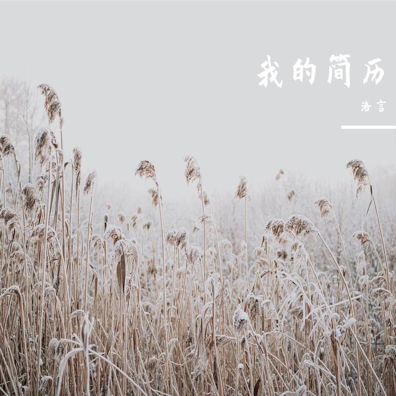 我的简历封面