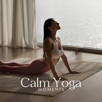 Calm Yoga Moments: Balanced Feelings, Concentration and Focus, Energizing Nature