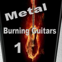 Burning Guitars 1