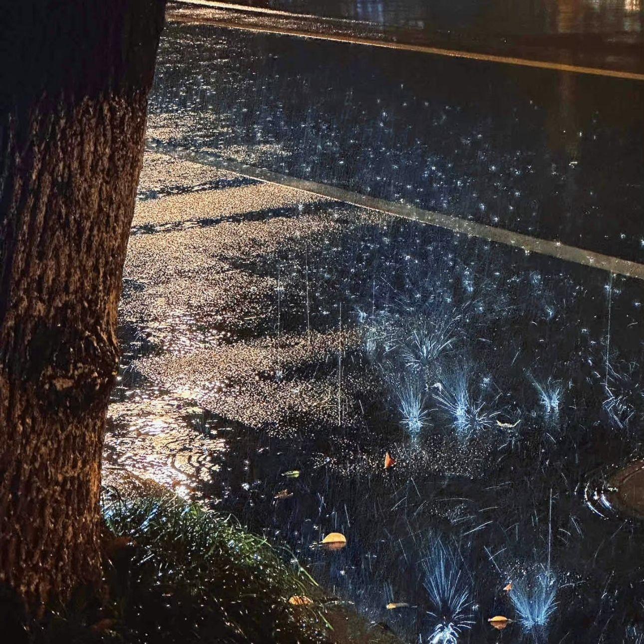 夏离封面