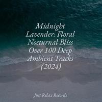 Midnight Lavender: Floral Nocturnal Bliss Over 100 Deep Ambient Tracks (2024)