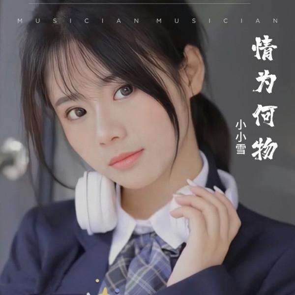 花好月圆夜 (Live) - 小小雪封面