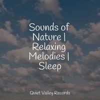 Sounds of Nature | Relaxing Melodies | Sleep