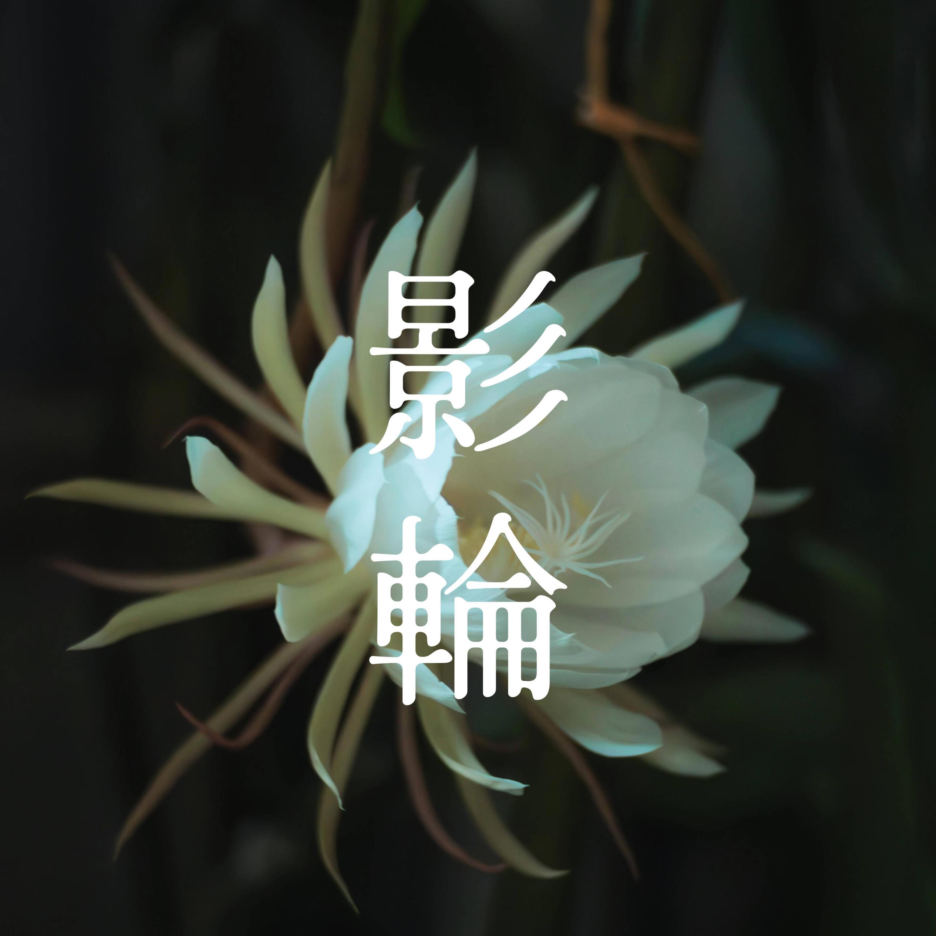 私の涙封面