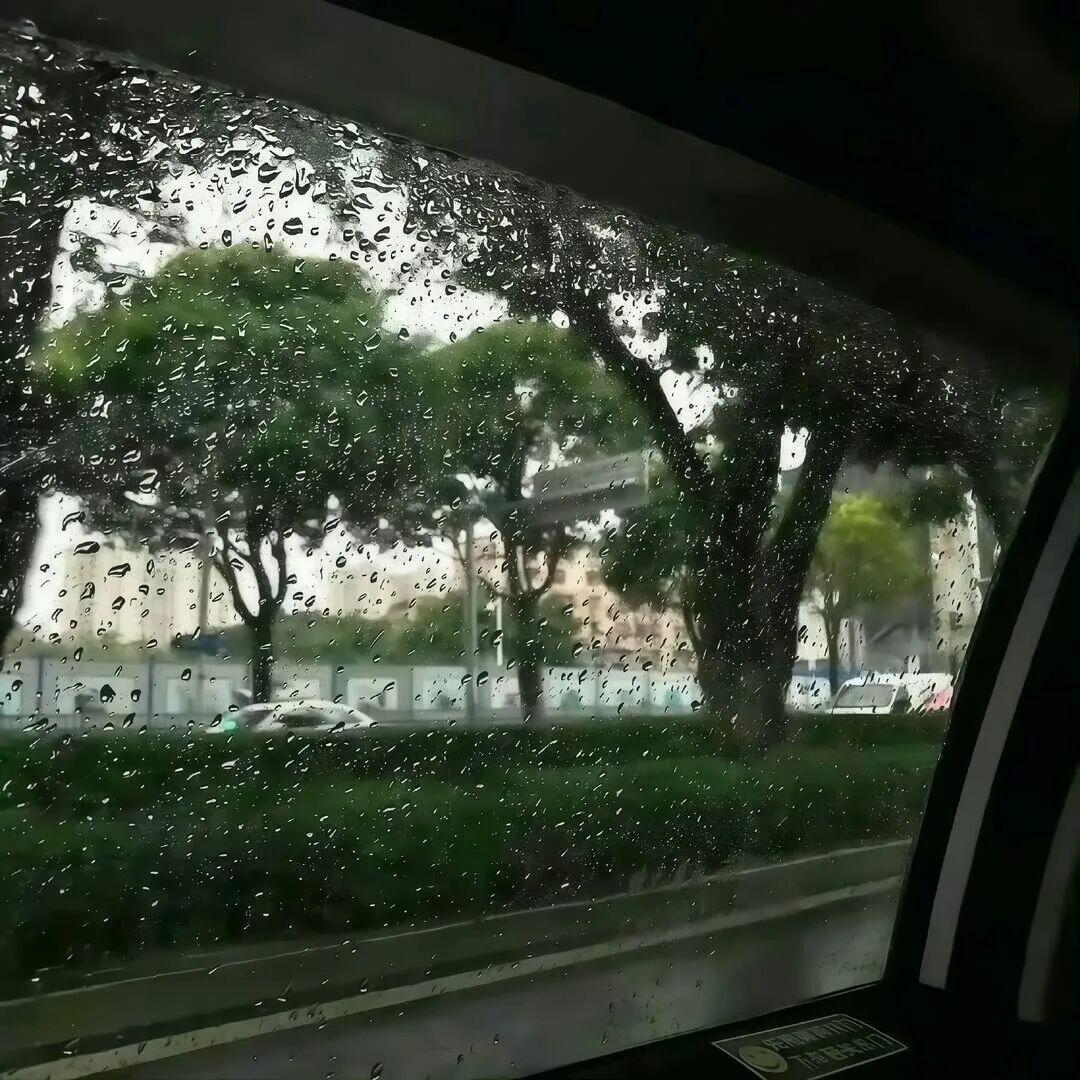 搀扶II - 大针头封面
