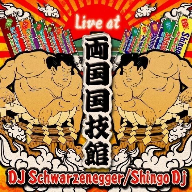 DJ Schwarzenegger Live Set