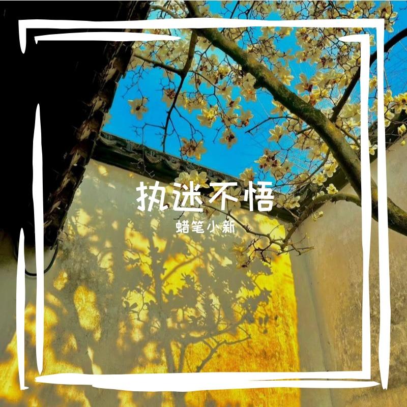 迷人的危险(片段)封面