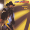 John Anderson - Seminole Wind