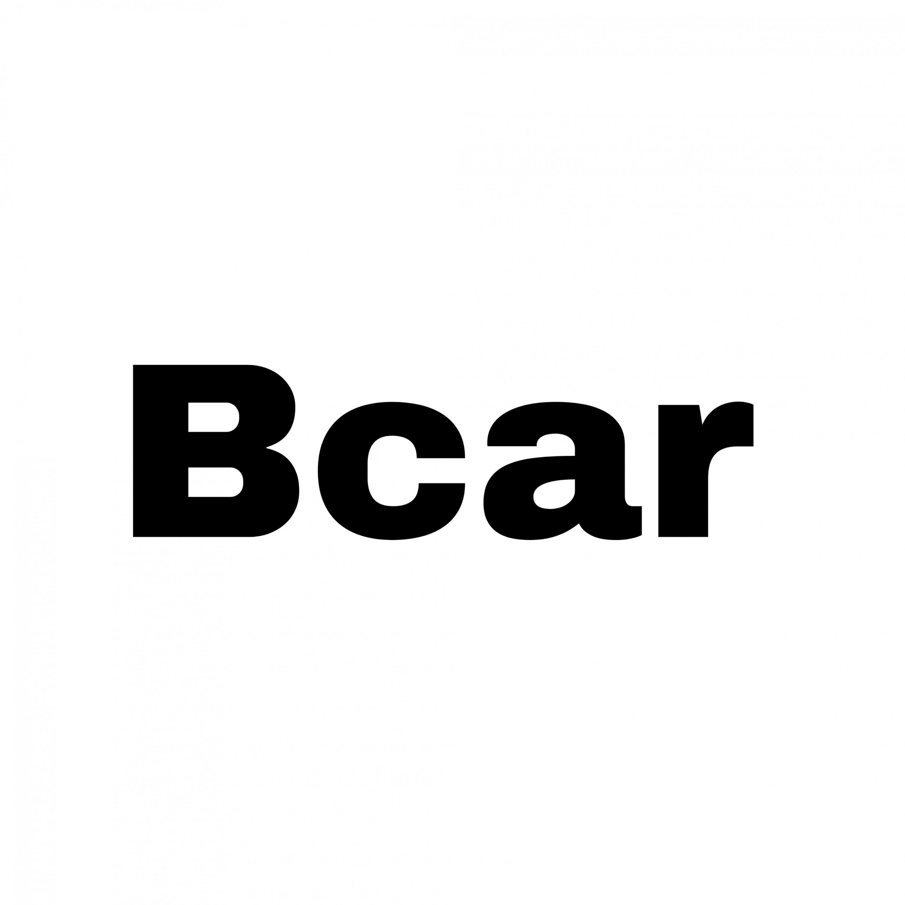 Bcarip