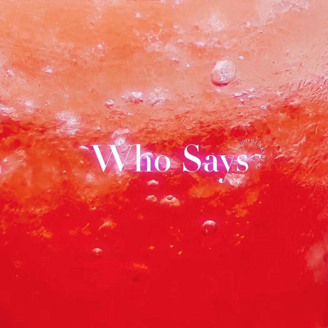 Who says封面