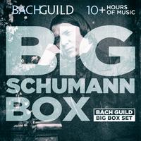 Big Schumann Box