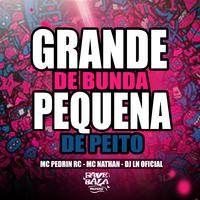 Grande de Bunda Pequena de Peito (Remix)