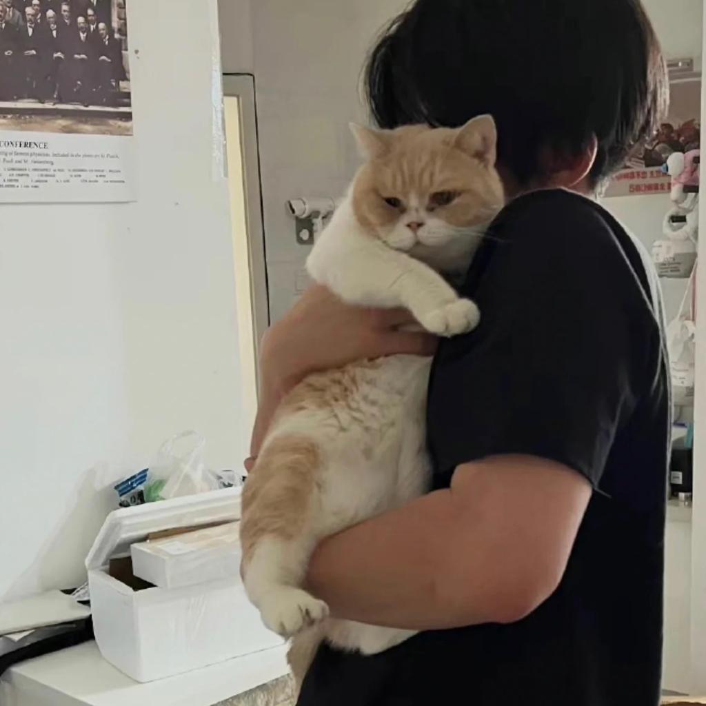 都在幸福 那我呢