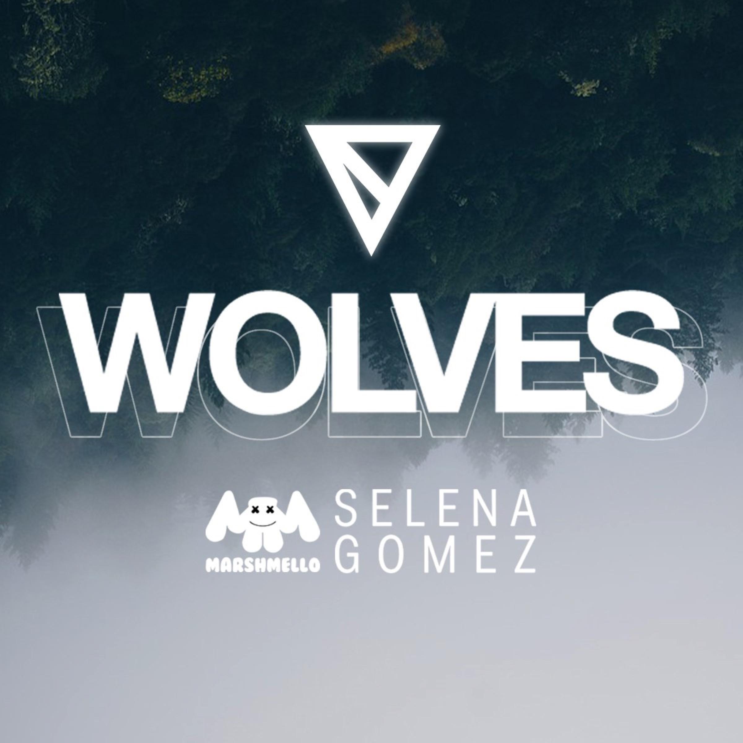 wolves (vincent remix)