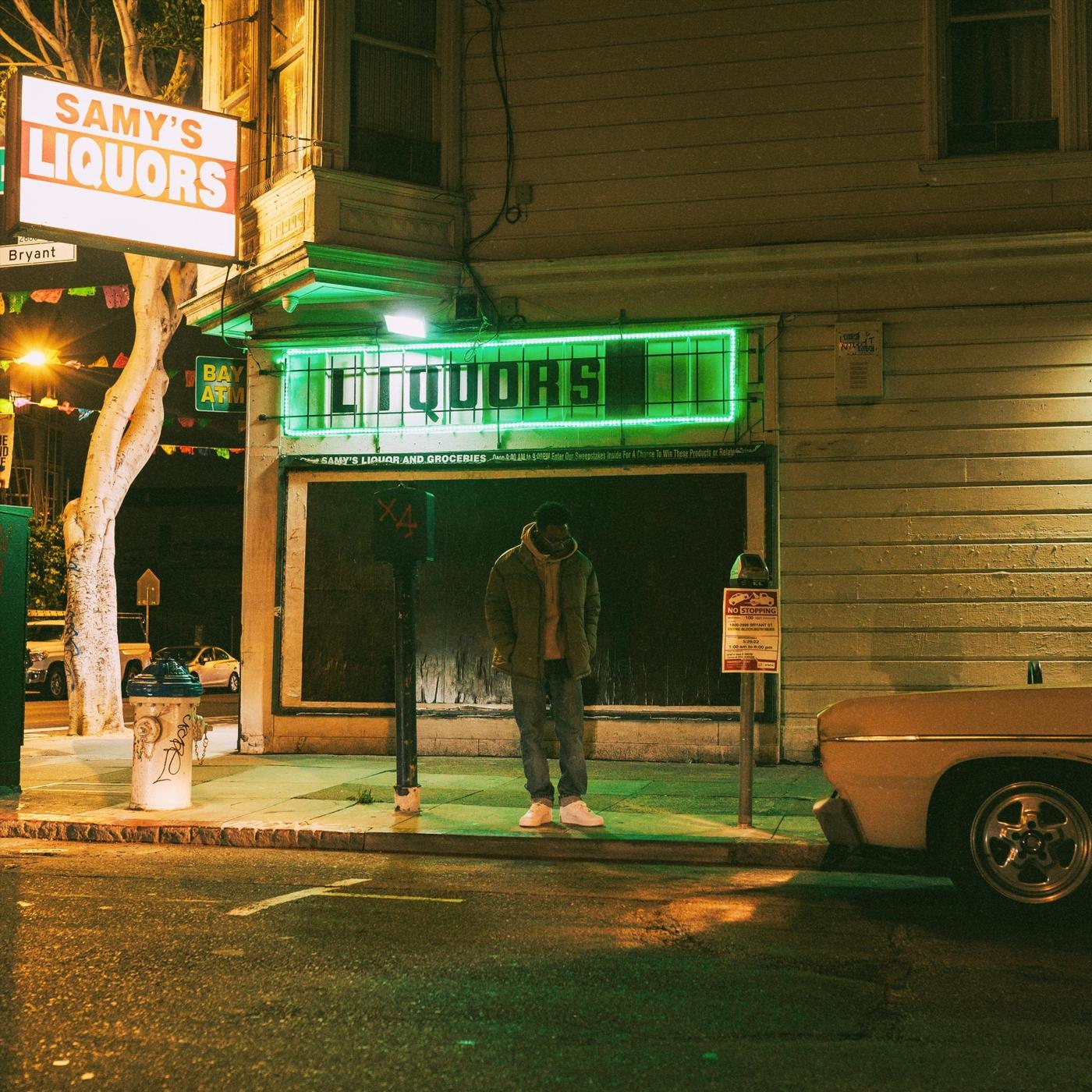 She Just Wanna Party (feat. Pauline Mykell)