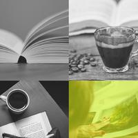 壮丽的 学习音乐