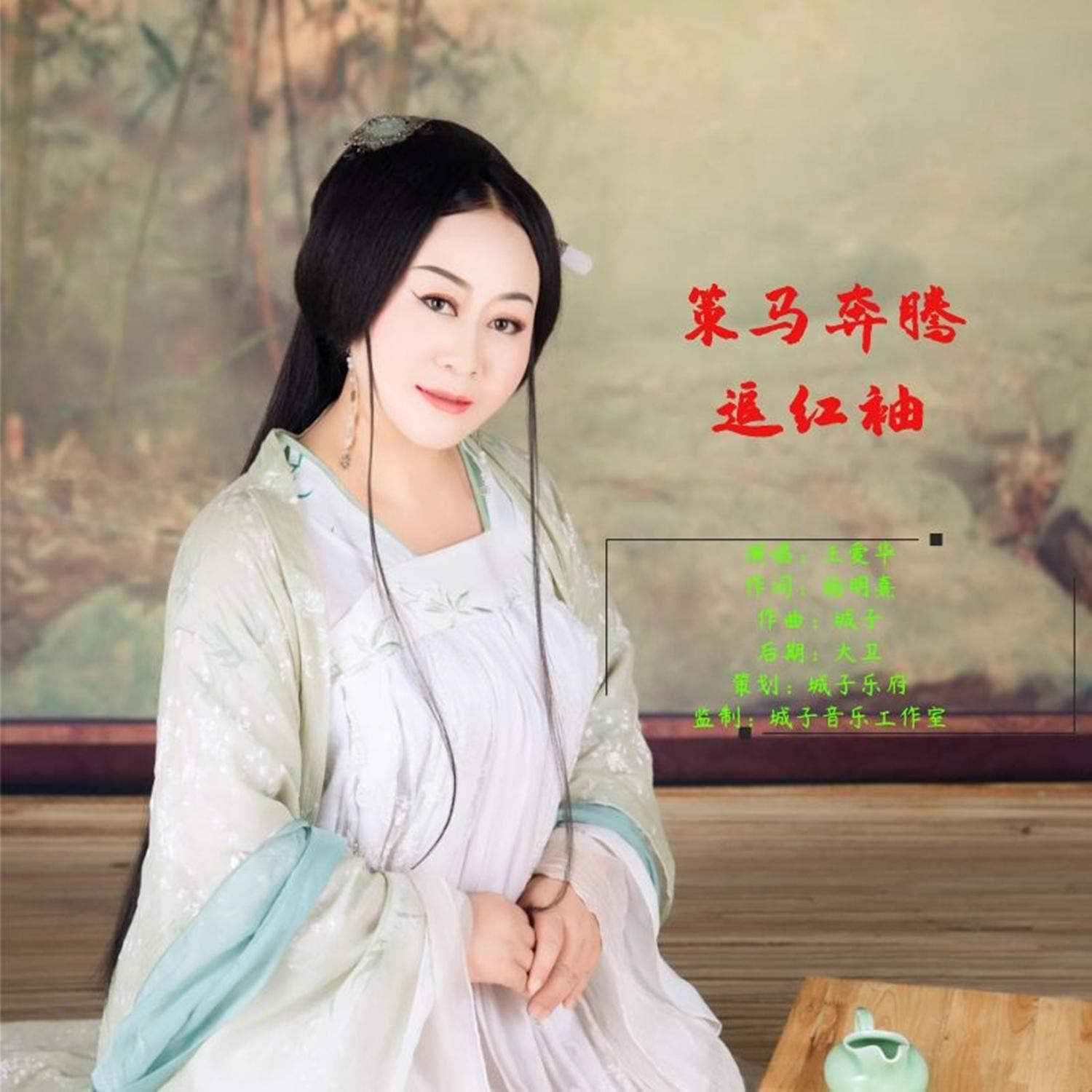 策马奔腾追红袖（伴奏）封面