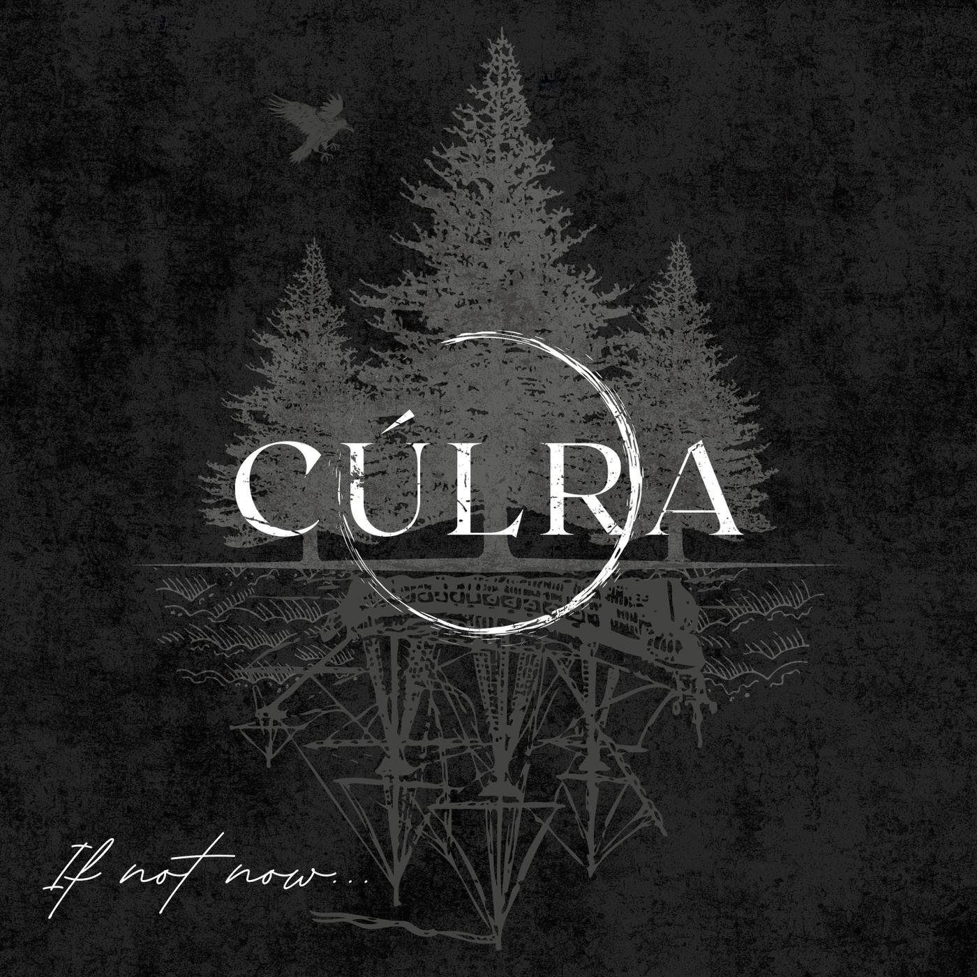 The Wayward Carrier (feat. Fergal Scahill)