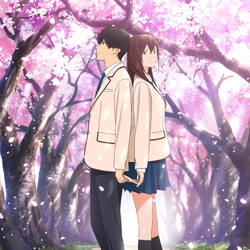 春日物语 | 樱花限定的温柔次元旋律