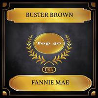Fannie Mae (Billboard Hot 100 - No. 38)