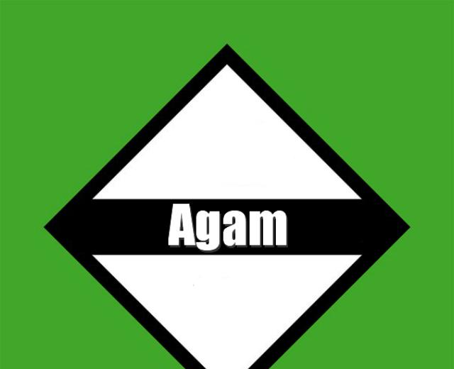 Agam