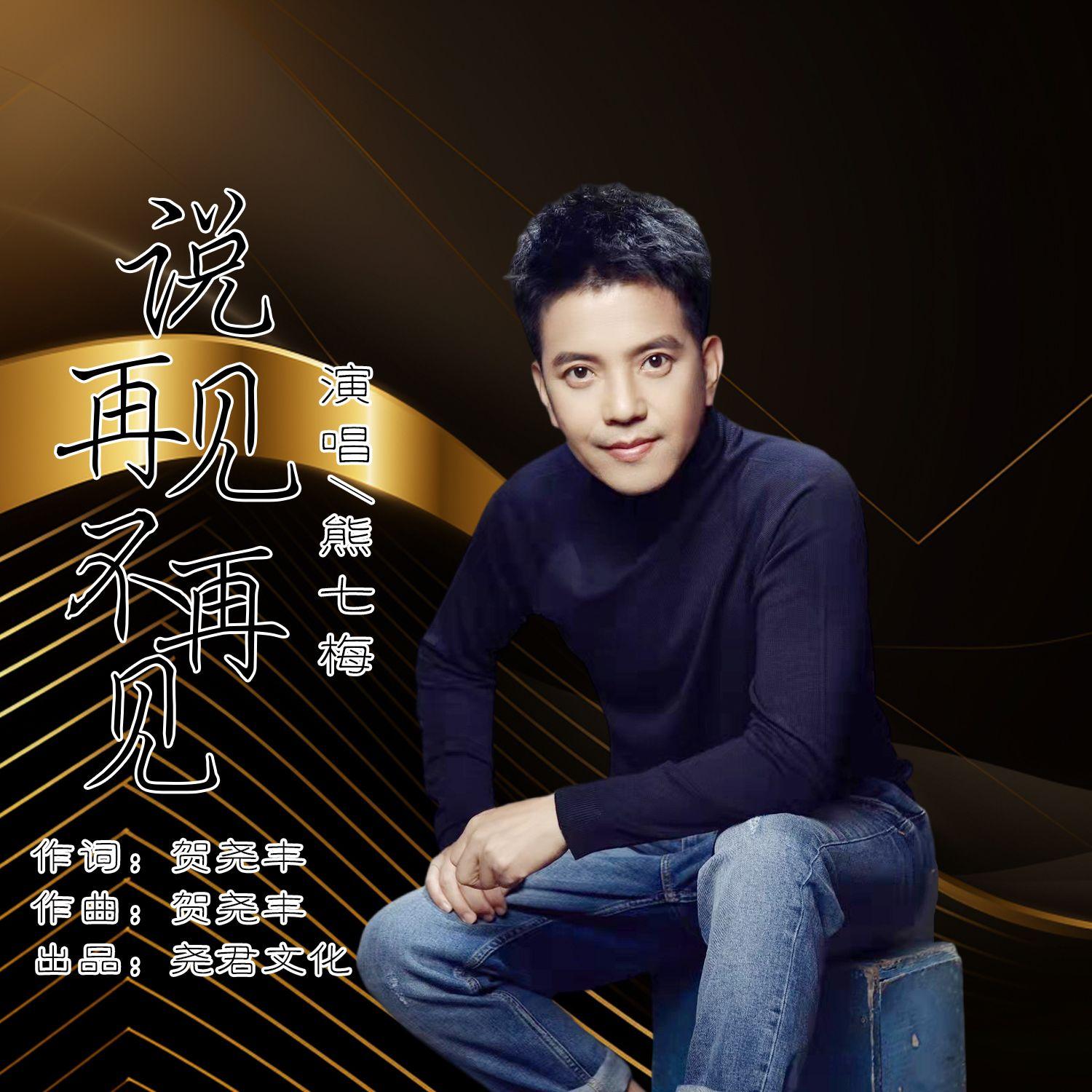 说再见不再见（伴奏）封面