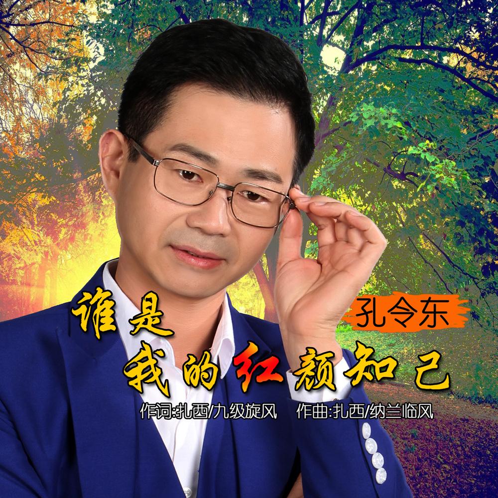 谁是我的红颜知己 (伴奏) - 孔令东封面