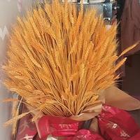 wmi随缘wmi资料,wmi随缘wmi最新歌曲,wmi随缘wmiMV视频,wmi随缘wmi音乐专辑,wmi随缘wmi好听的歌
