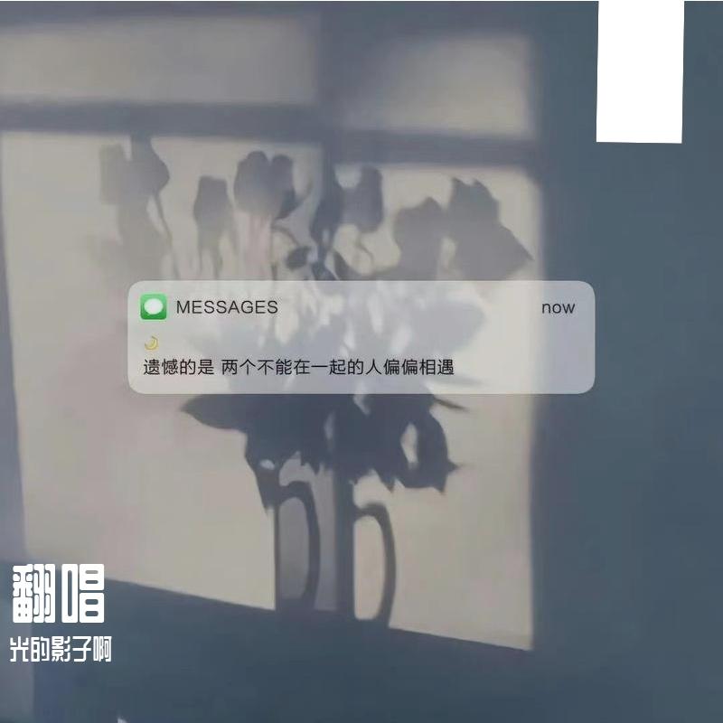 粤语残片封面