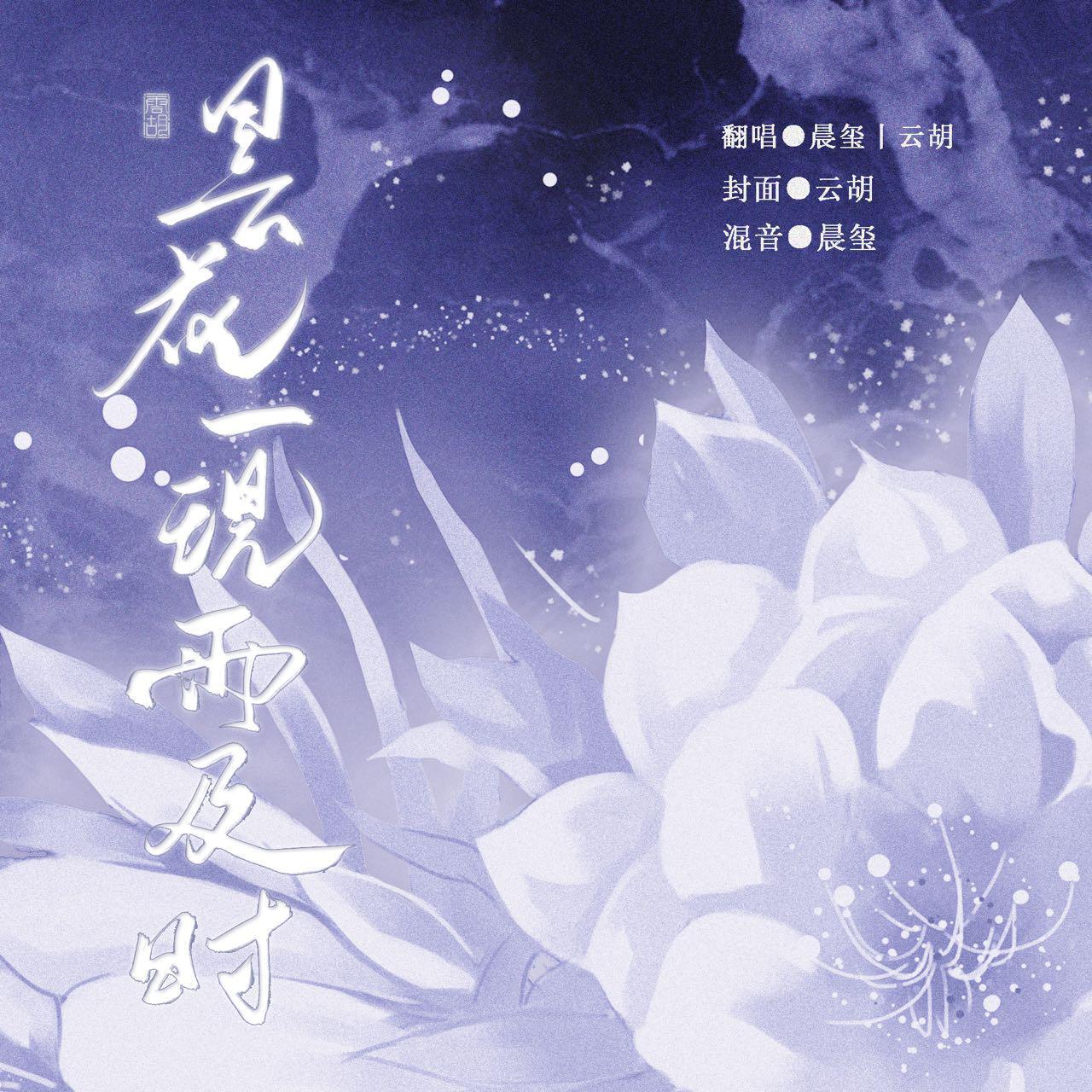 昙花一现雨及时封面