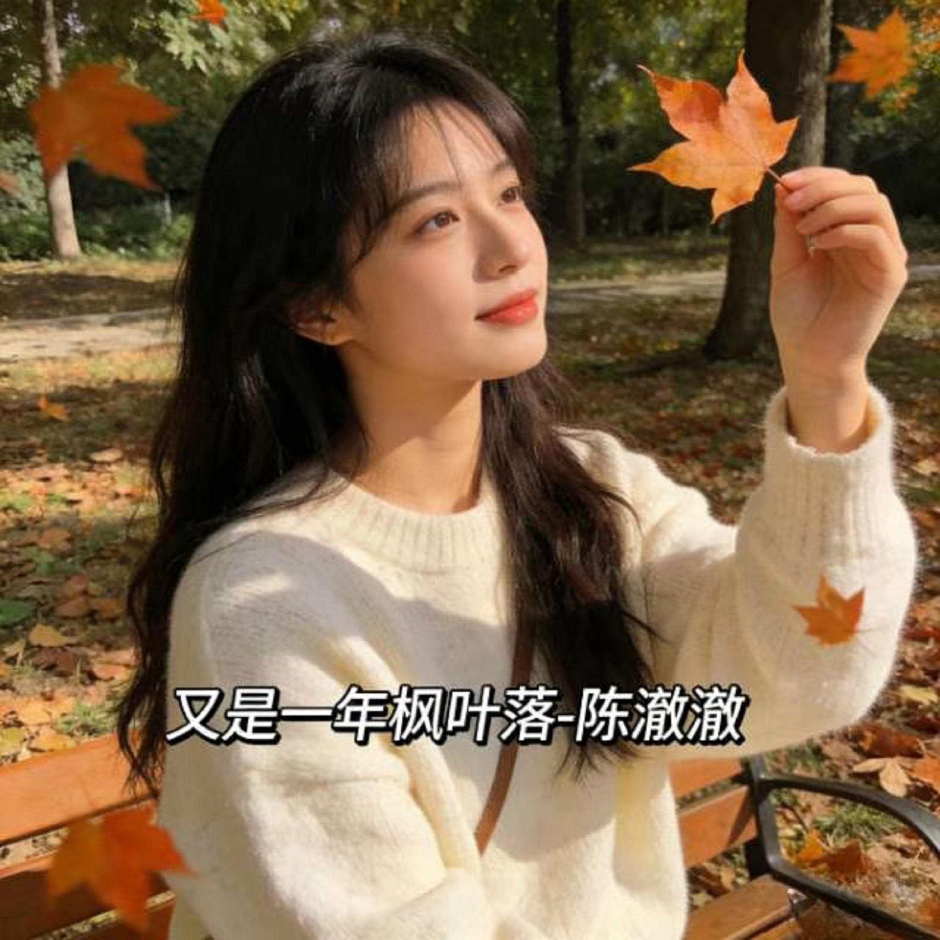 又是一年枫叶落 (DJ版)封面