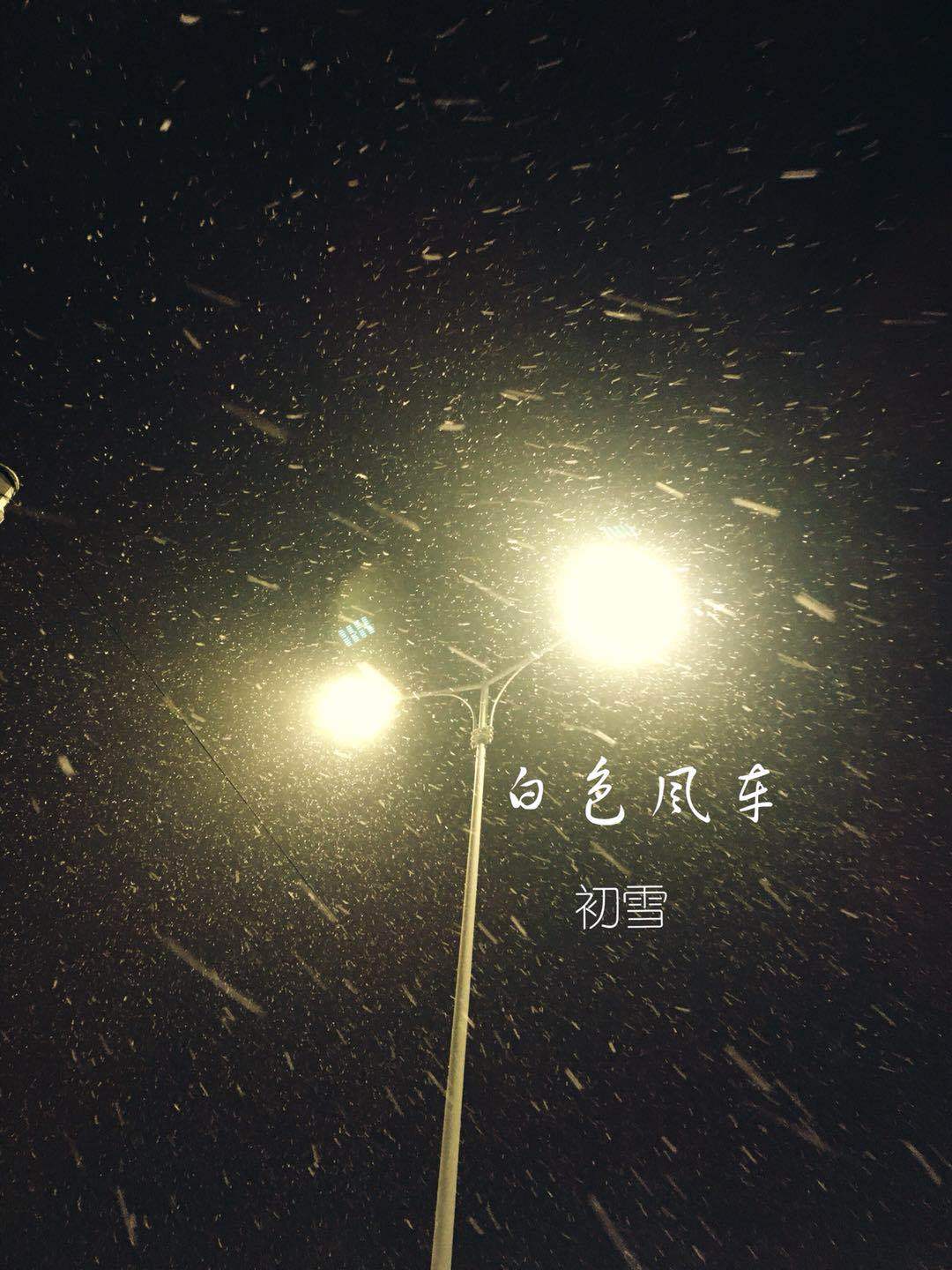白色风车封面