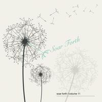 Soar Forth, Vol. 11