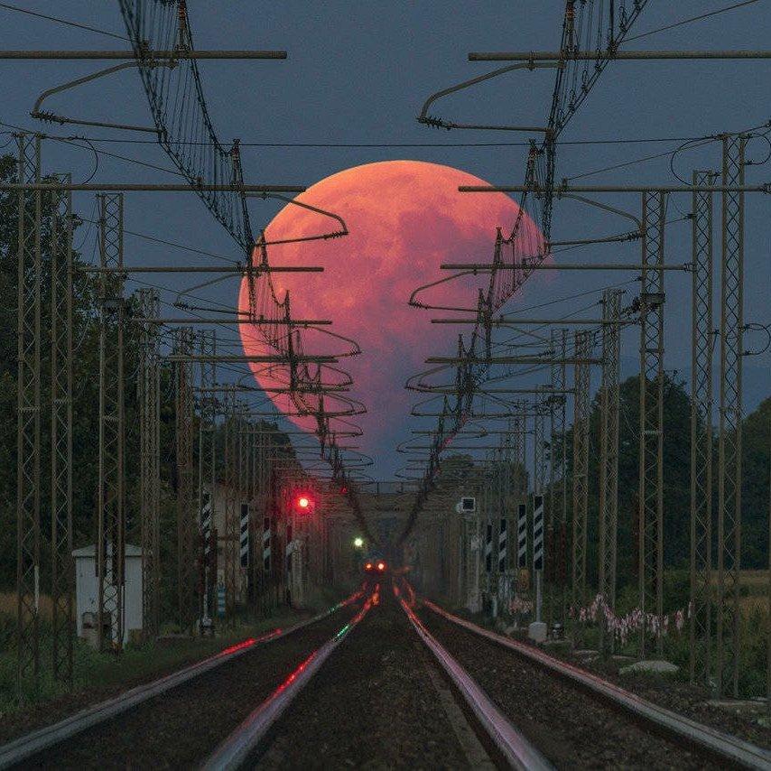 山登绝顶我为峰66