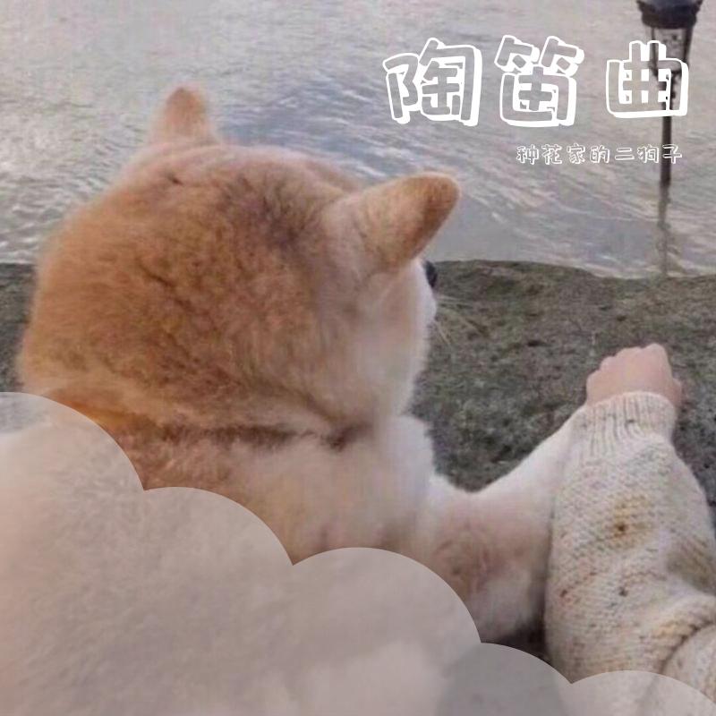 缘起(前世今生版)（翻自 周深）封面