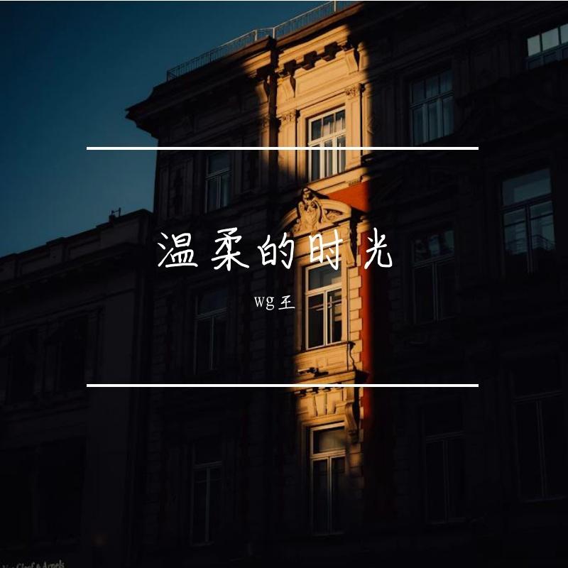 温柔的时光封面