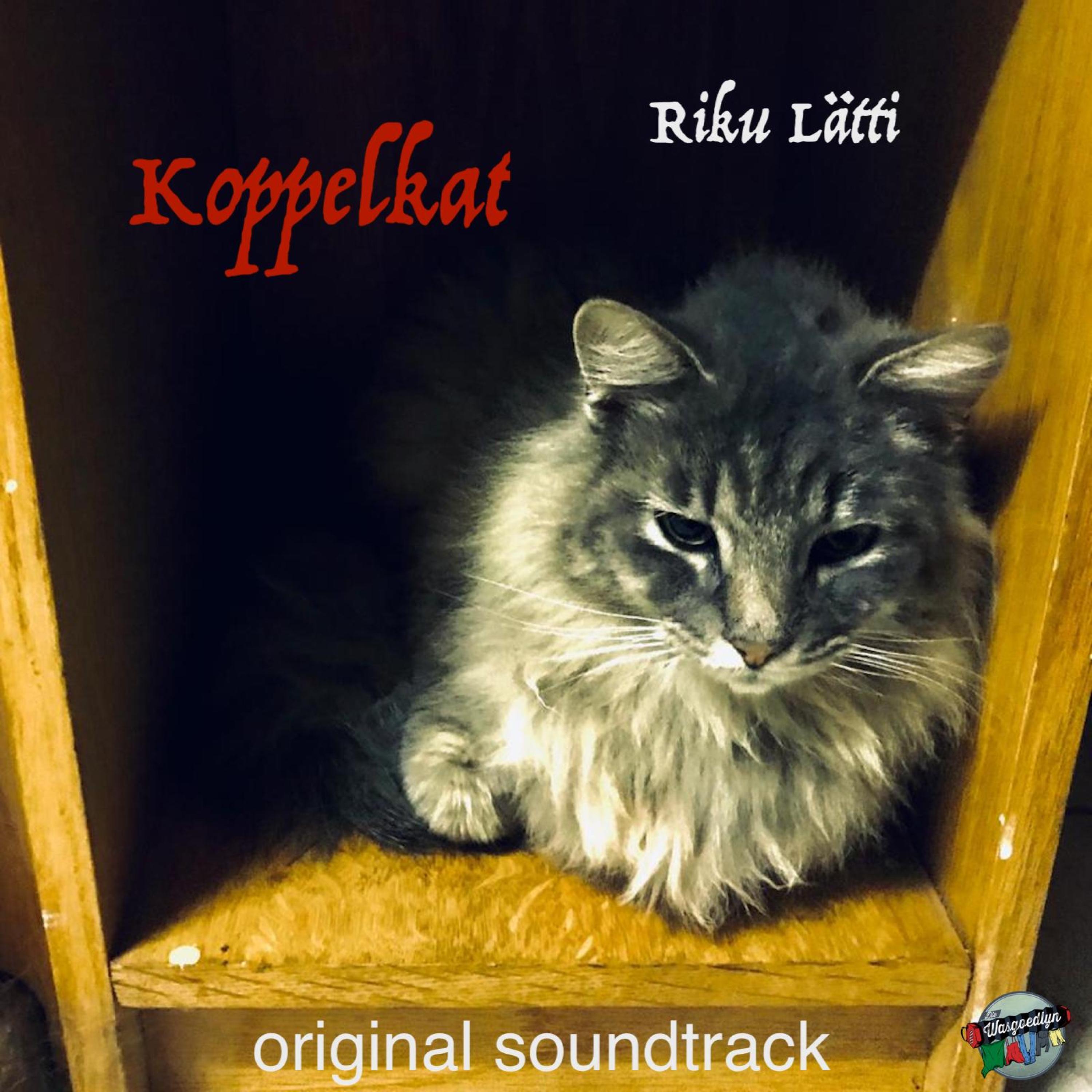 Vat jou goed en trekklavier Ferreira