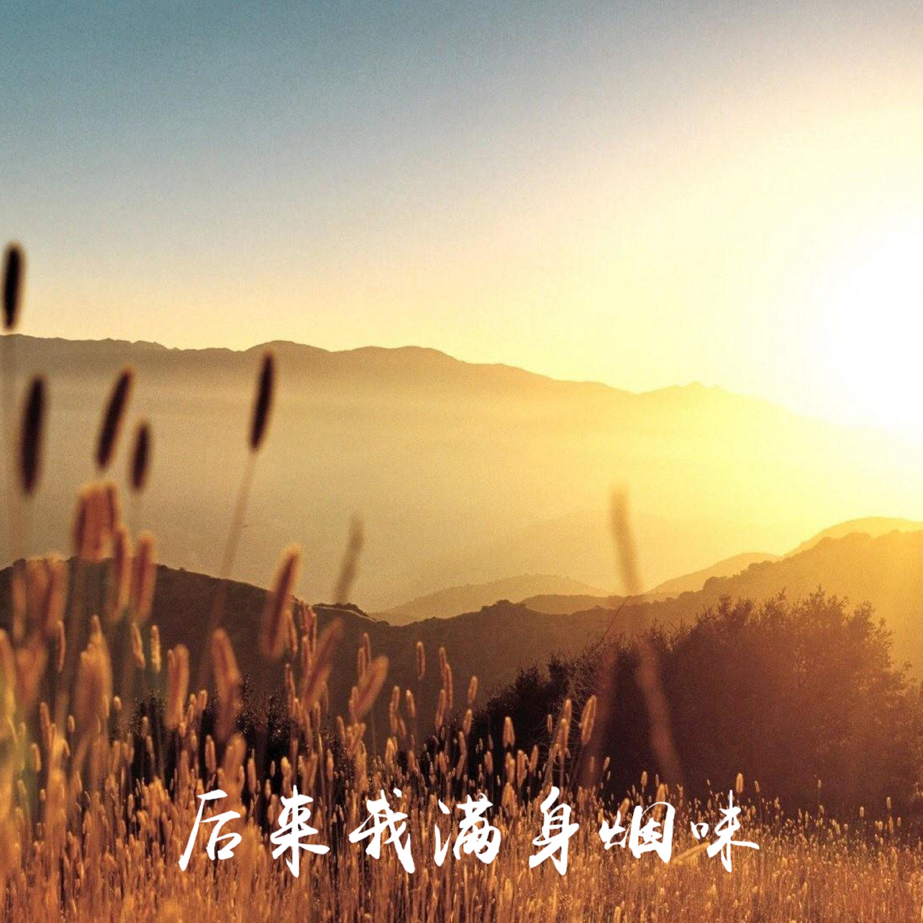 后来我满身烟味 (伤感版)封面