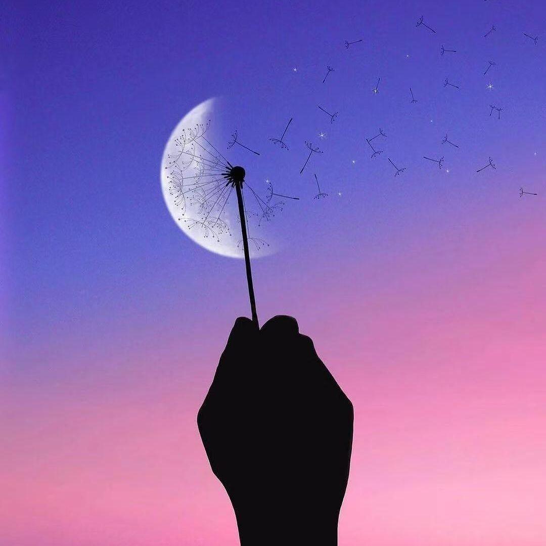 黄昏（英文版Twilight）封面