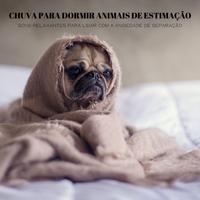 Chuva Para Dormir Animais De Estimação: Sons Relaxantes Para Lidar Com A Ansiedade De Separação