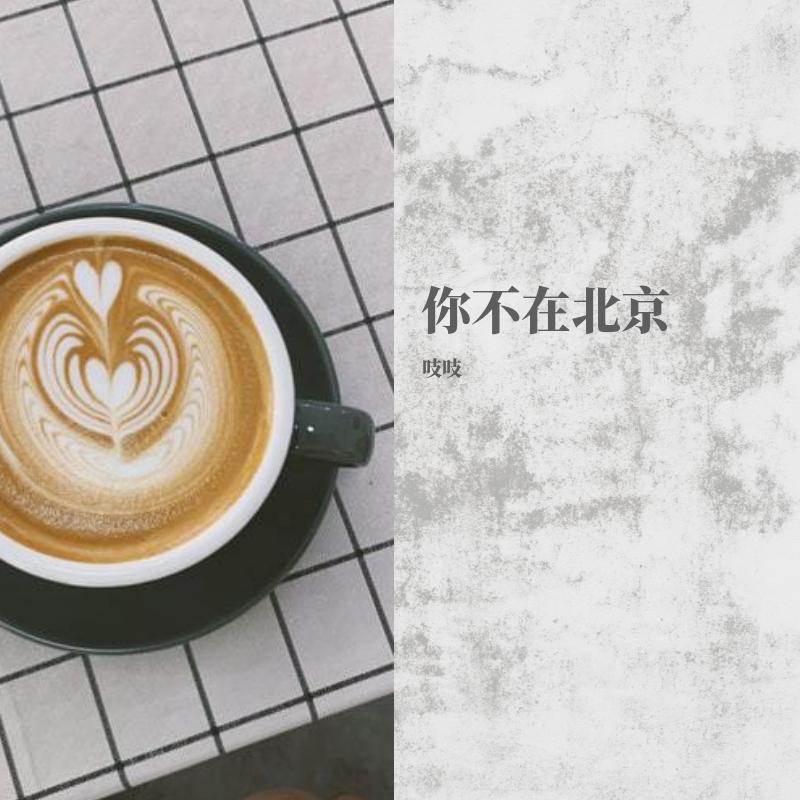你不在北京（demo）