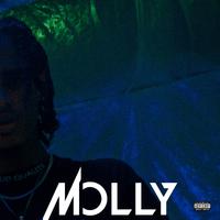 Molly (feat. Montana 23k)