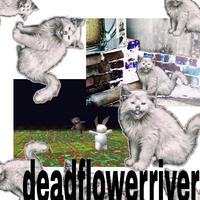 deadflowerriver